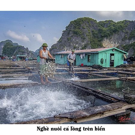 Cat Ba Hostel Cat Ba Island Екстериор снимка