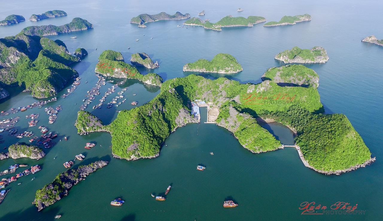 Cat Ba Hostel Cat Ba Island Екстериор снимка