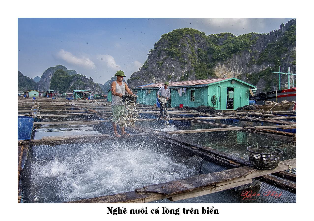 Cat Ba Hostel Cat Ba Island Екстериор снимка