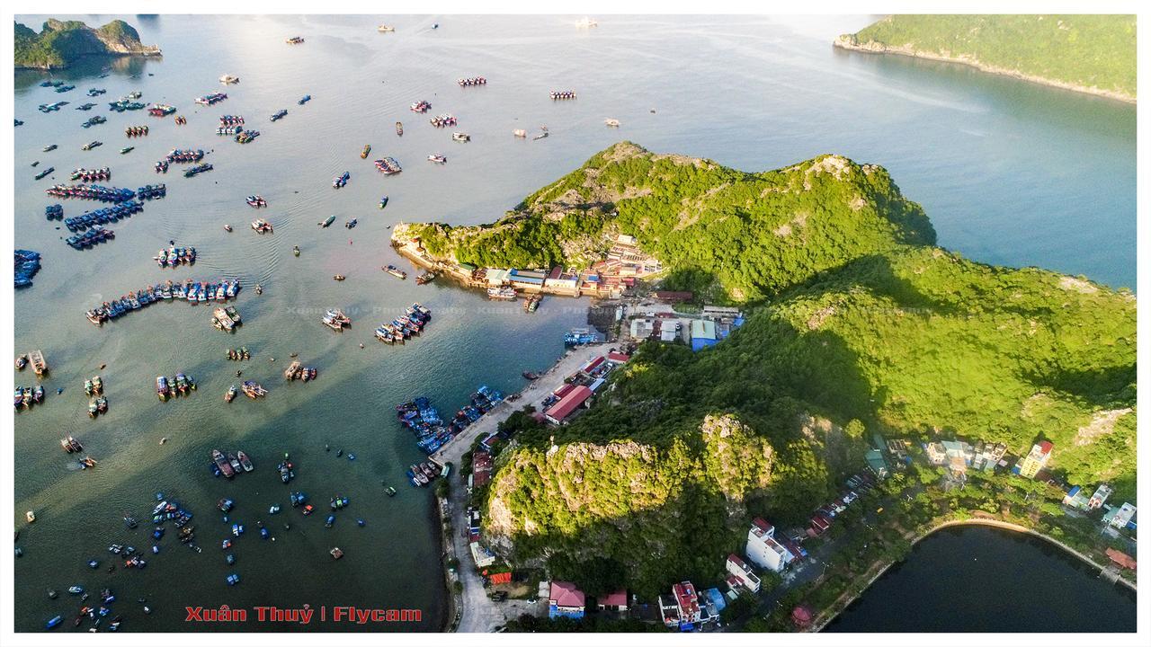 Cat Ba Hostel Cat Ba Island Екстериор снимка